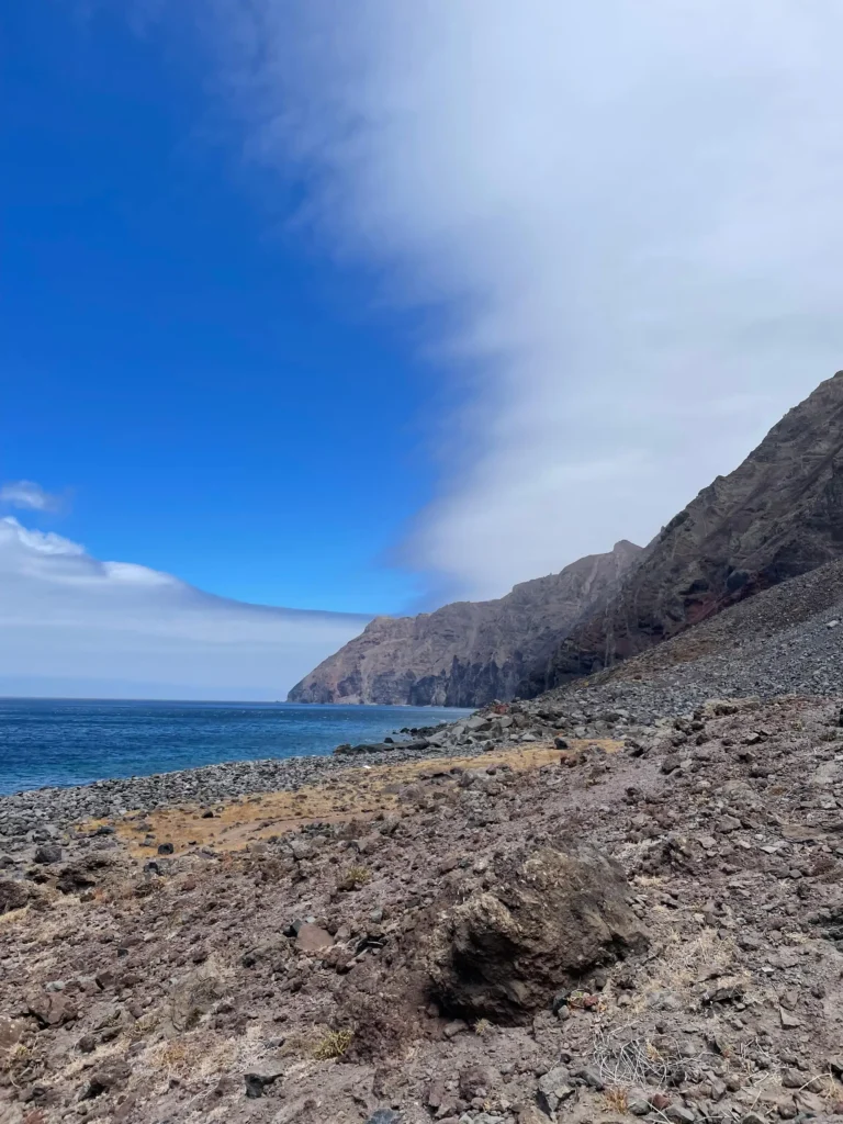 Besondere, originelle Aktivitäten Madeira: Wal-Boottour zu unbewohnten Inseln.
