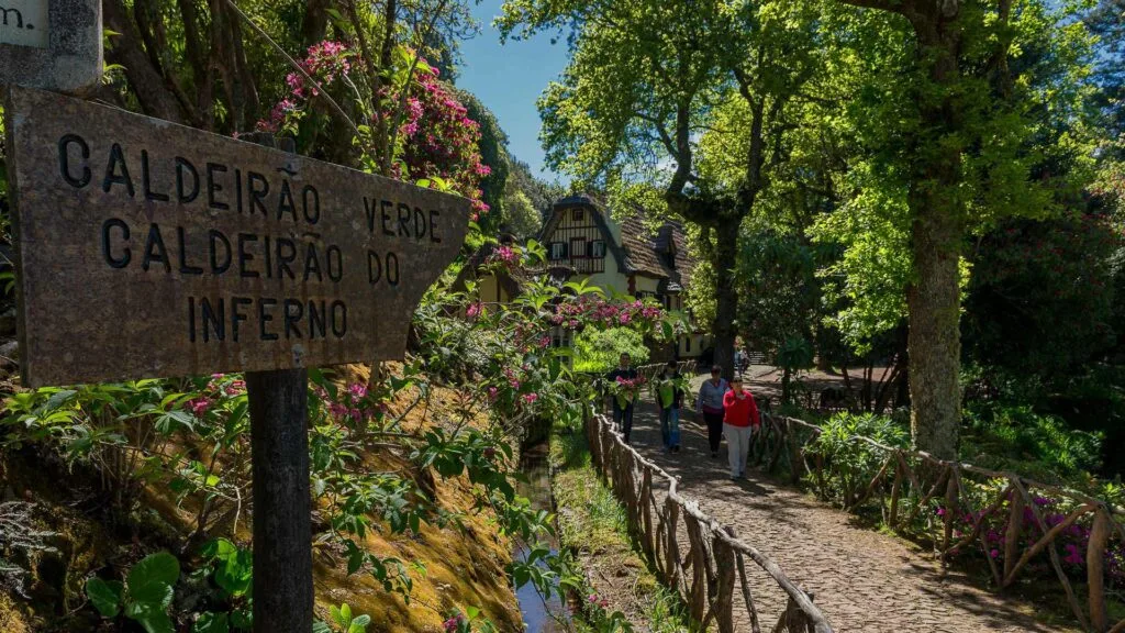 Caldeirao verde pr 9
