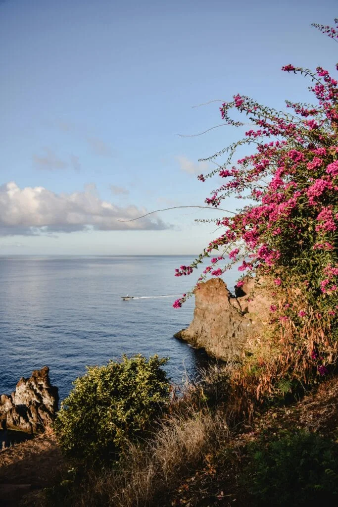 Madeira Budget: Kostenübersicht für 8 Tage