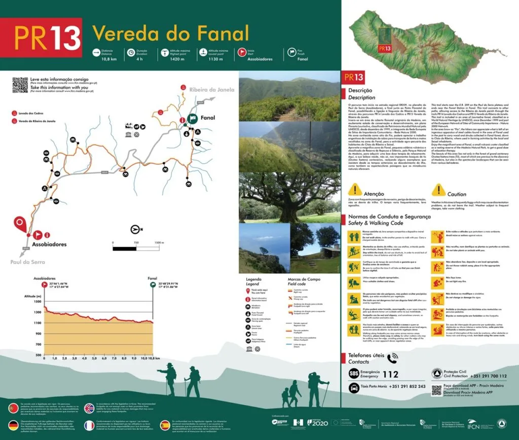 PR 13 Fanal Forest Madeira Fanal Wald Madeira