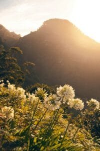 Reisezeit Madeira tipps