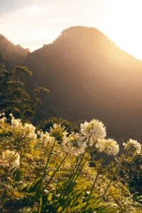 Reisezeit Madeira tipps