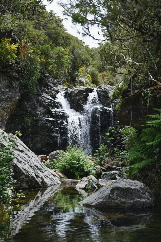 Korte-levada-madeira-681x1024 Kurze Levada Madeira