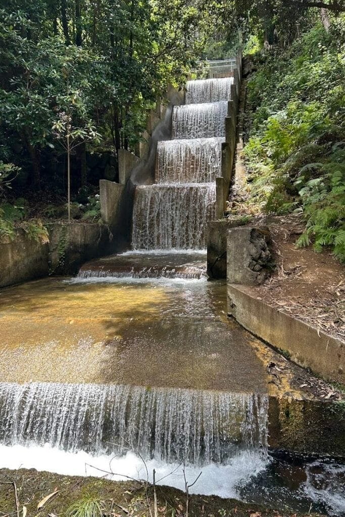 Levada Madeira