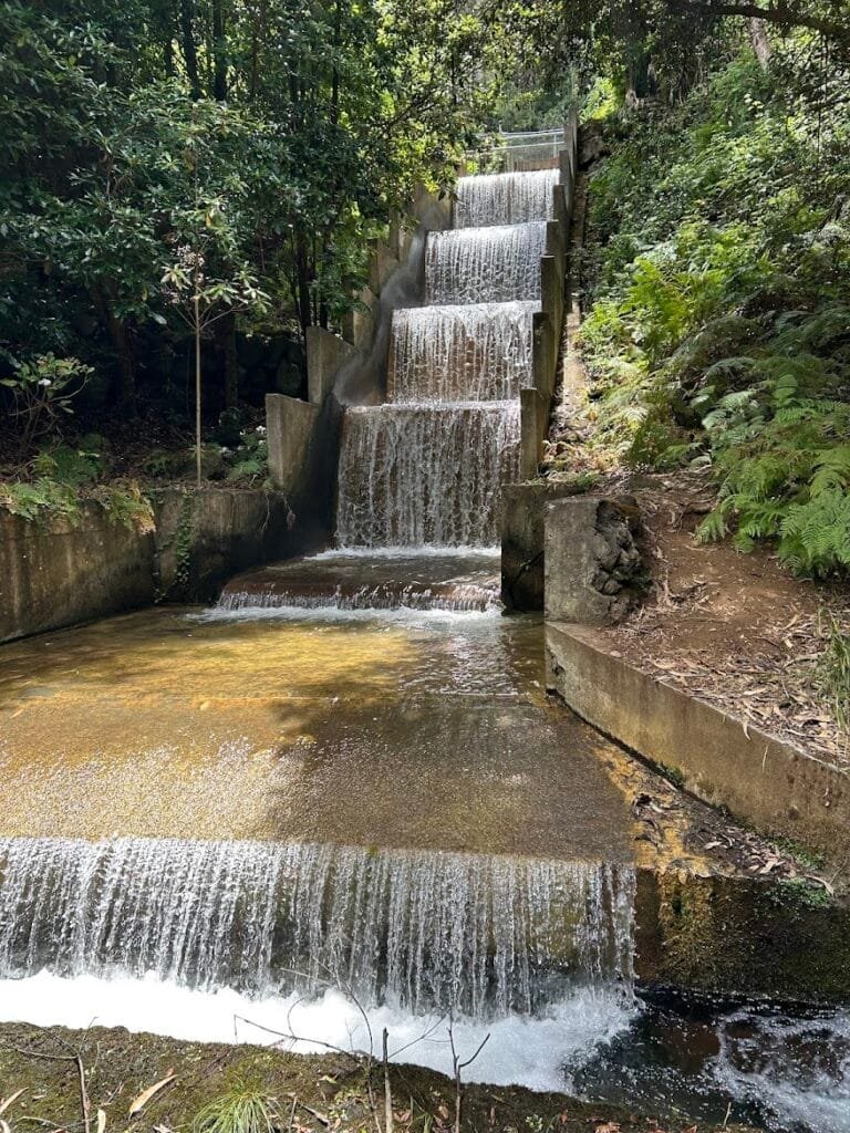 Levadas auf Madeira
