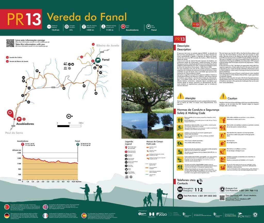 PR13 Fanal Wald Madeira Wanderung