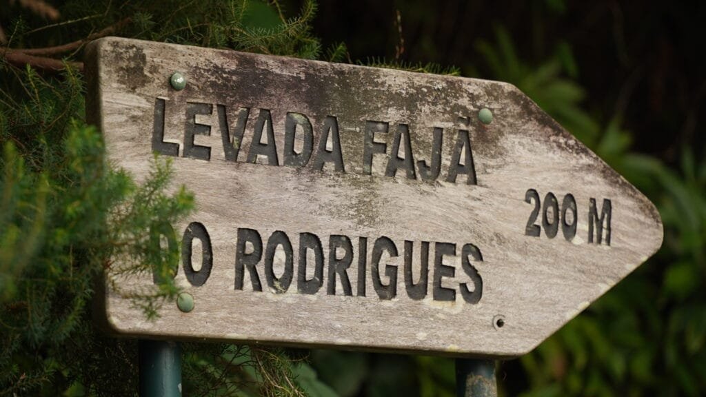 PR16-Madeira-1024x576