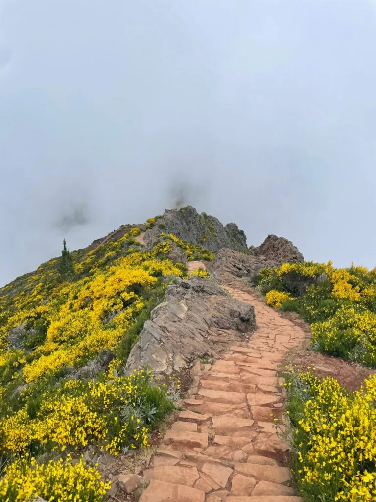 Pico Ruivo aussicht