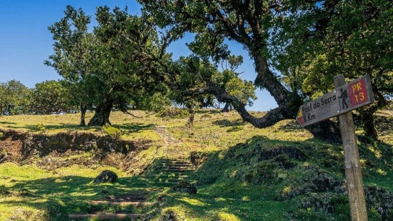 Wanderung-PR13-Madeira