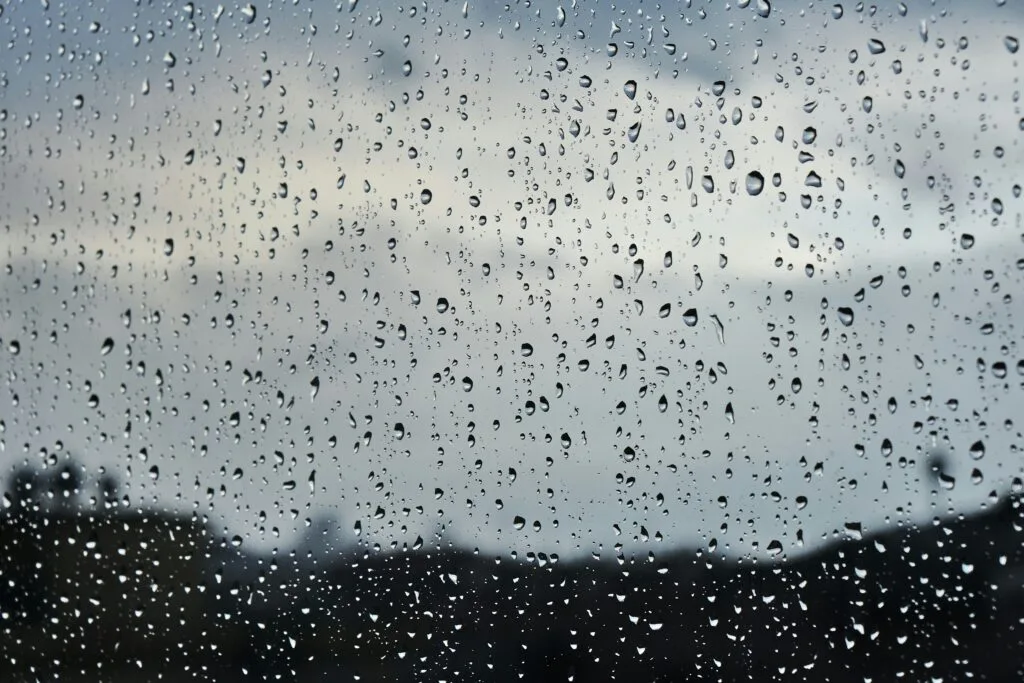 unternehmen regen madeira tun