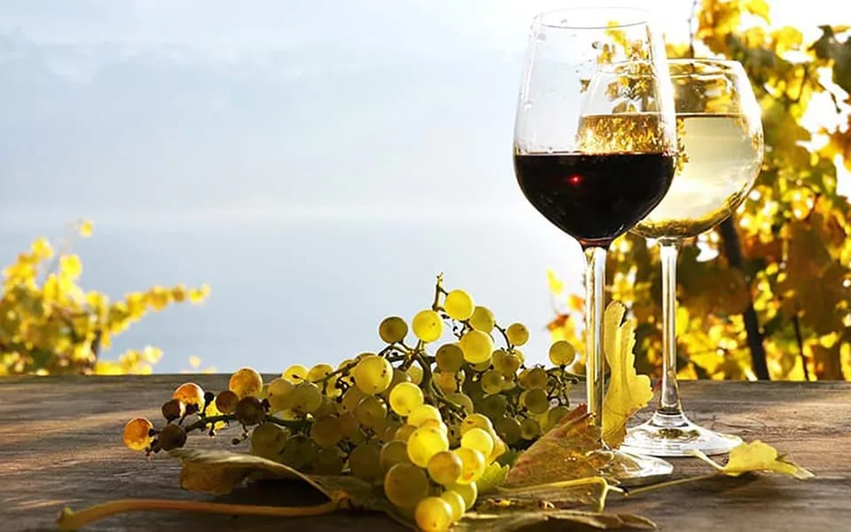 Weinprobe Madeira