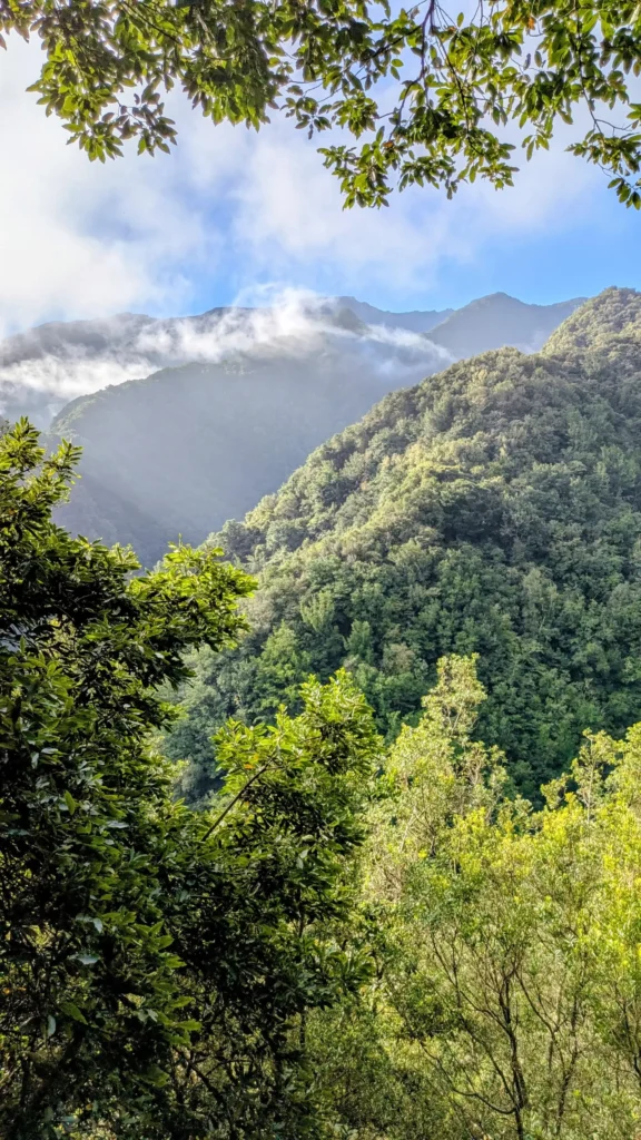 Levada nordmadeiras