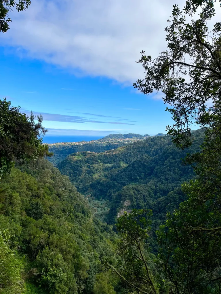 Einfache levada wanderung auf madeira