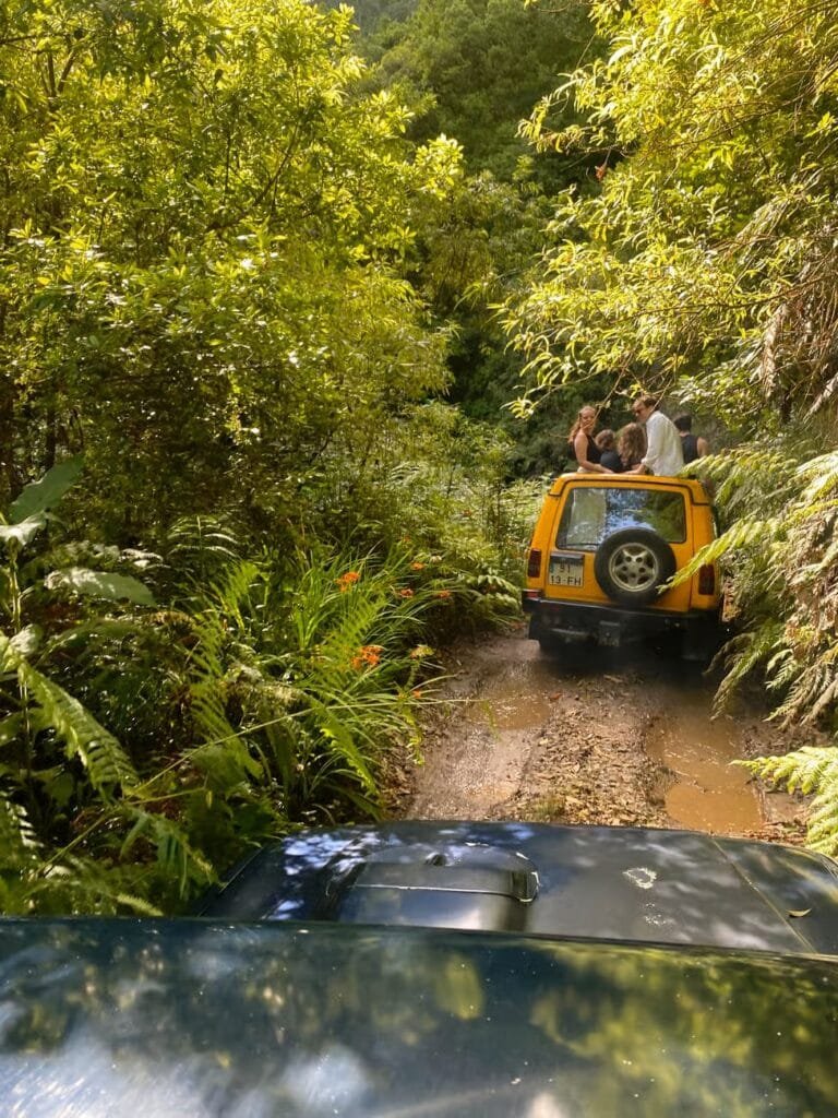 Offroad madeira Offroad madeira