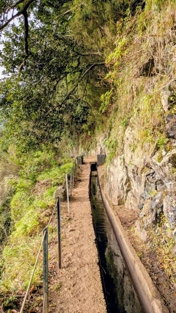 Wandern mit kinderen madeira