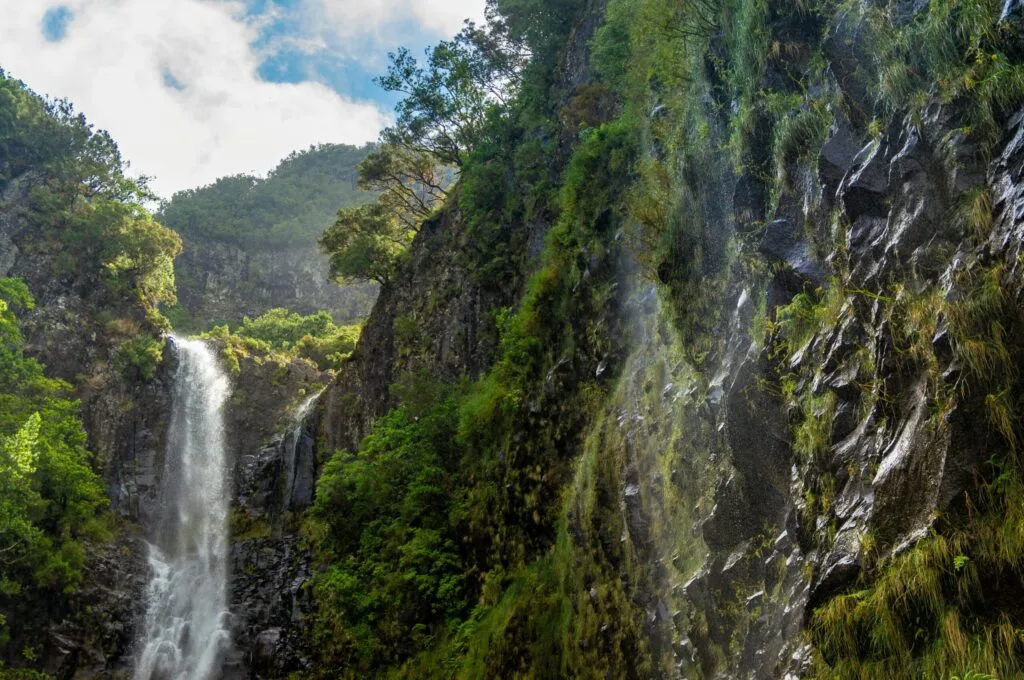25 fontes levada wanderung Madeira