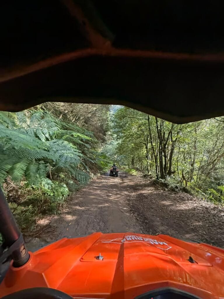 Buggytour Madeira tolles aktivitat