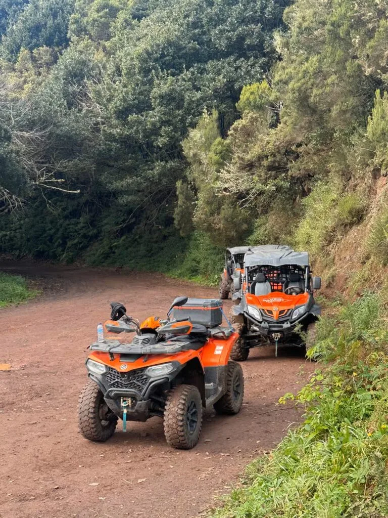 Buggytour Madeiras