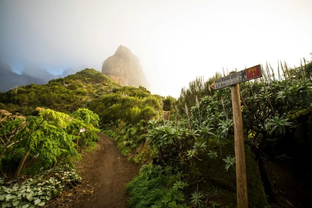 bekanntesten wanderungen Madeira