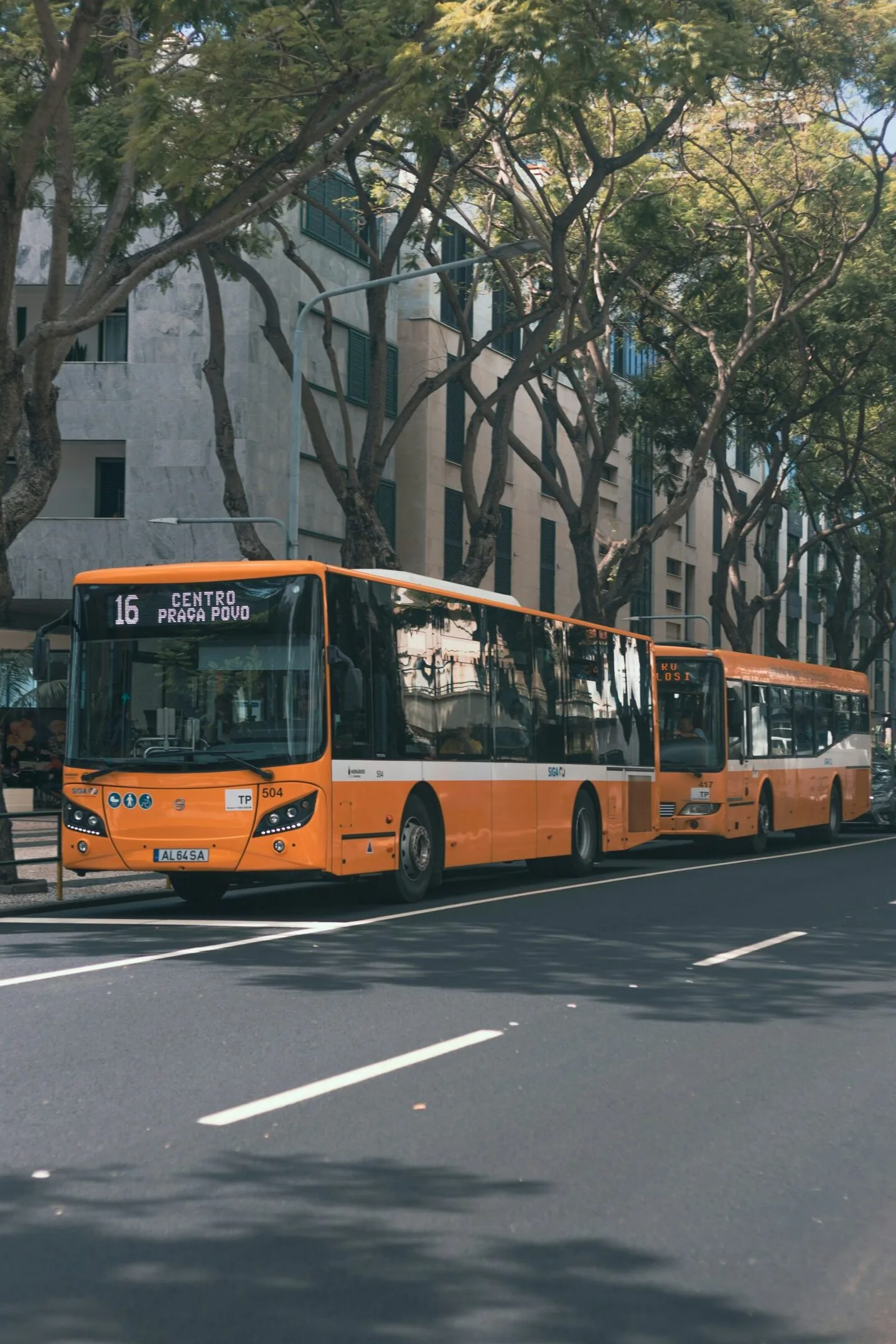 öffenliche verkehr Funchal
