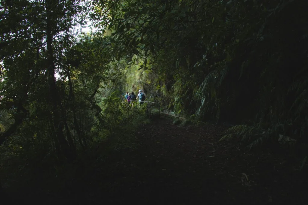 PR10 Madeira foto PR10 Madeira hike norden