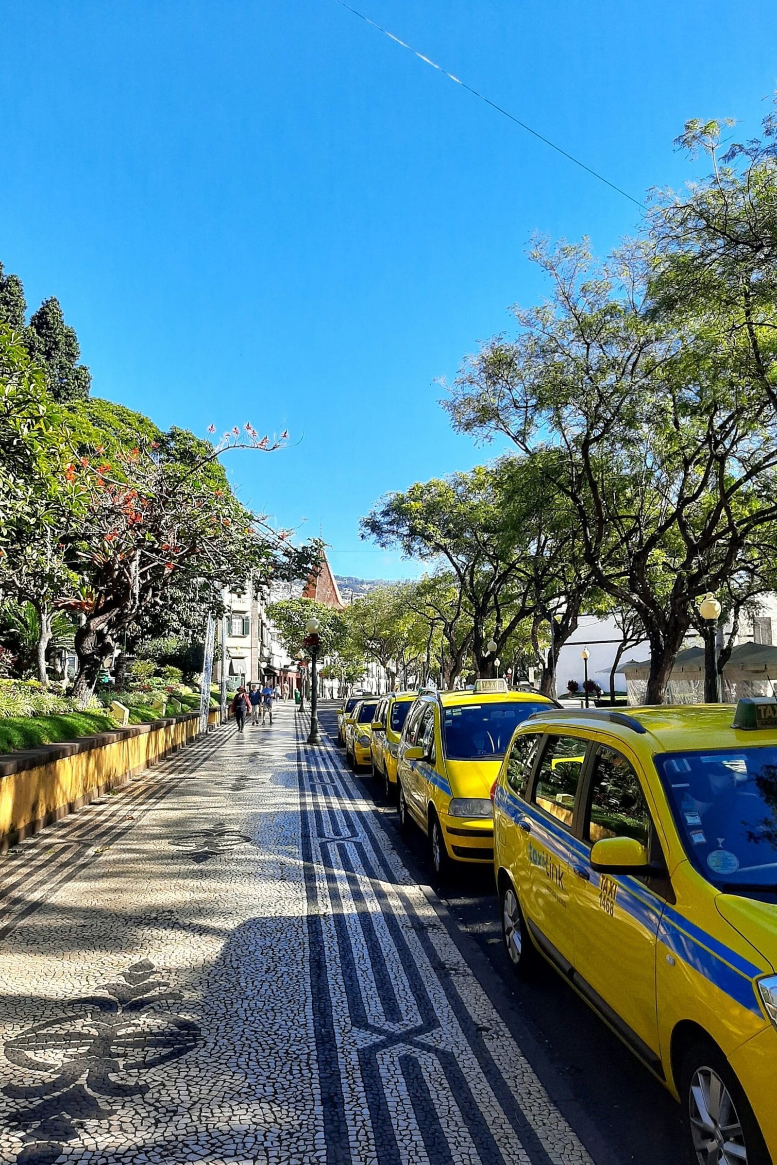 Parken Funchal