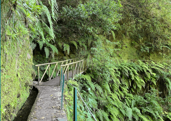 Levada dos Cedros Madeira