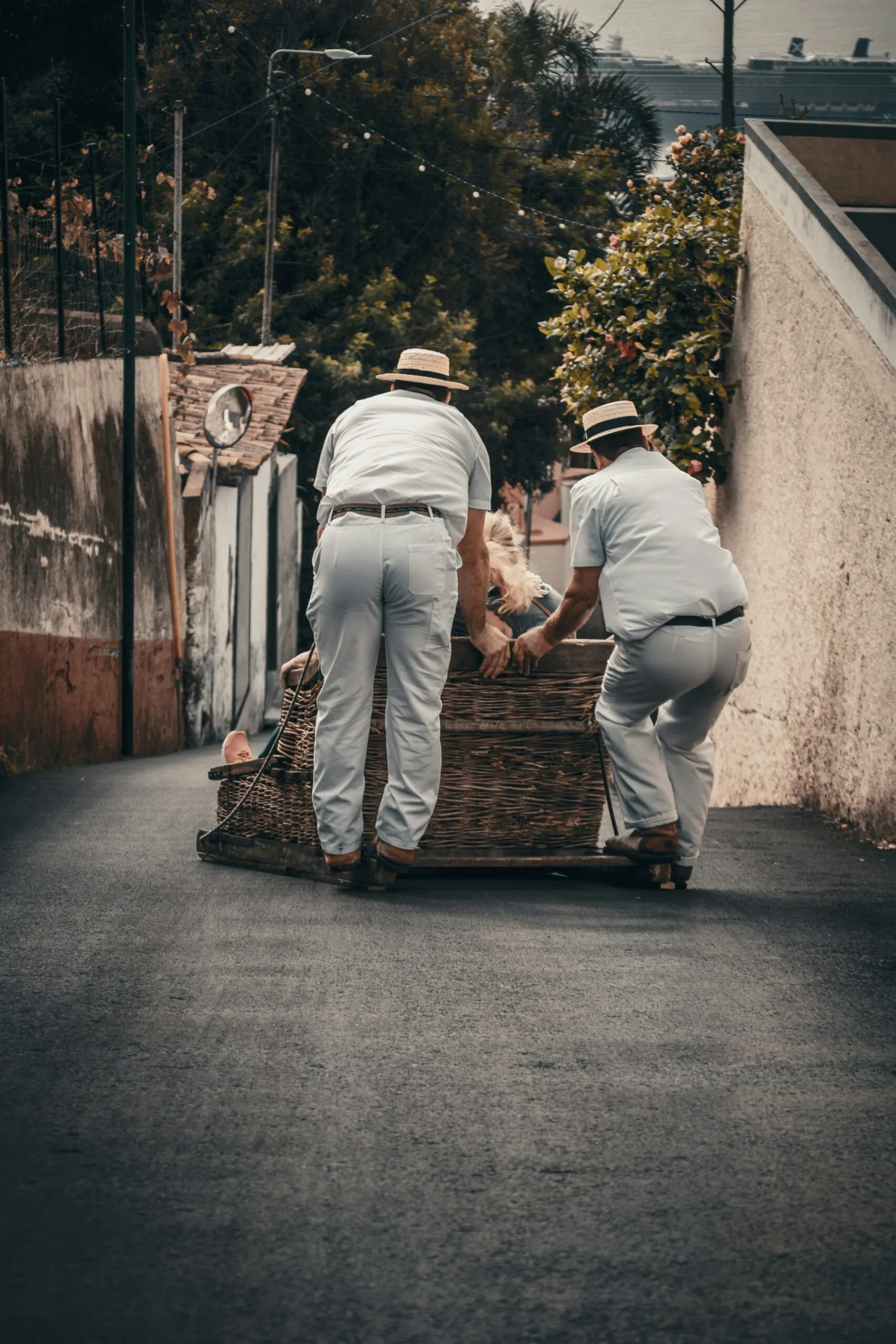 Toboggan aktivitaten madeira kindern