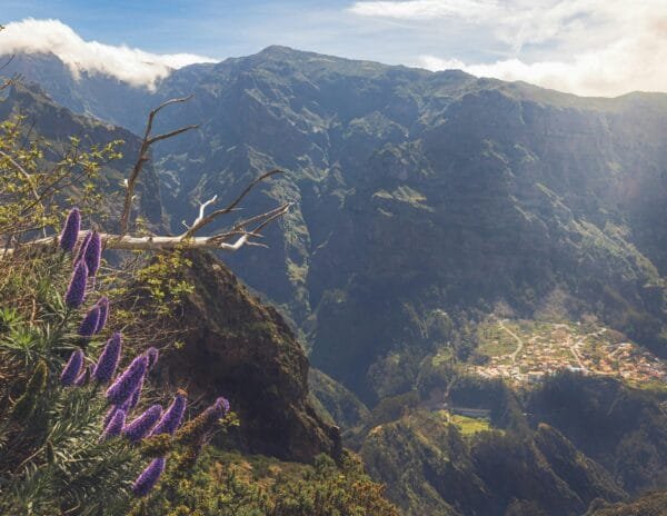 PR2 Madeira wanderung