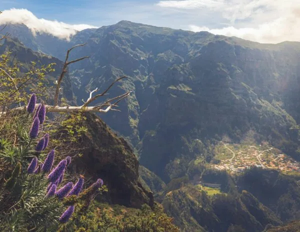PR2 Madeira wanderung