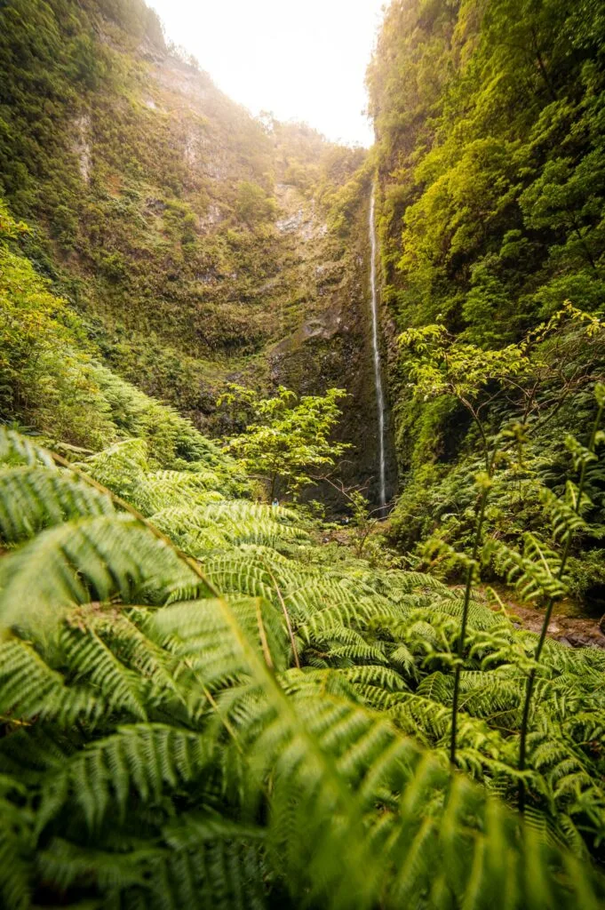 Wasserfall Caldeirao Verde PR9 favoriten wasserfal Madeiras
